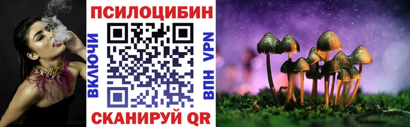 Галлюциногенные грибы Cubensis  Протвино 